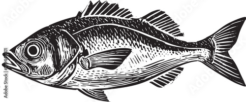 Vector black vintage engraved illustration isolated on a white background