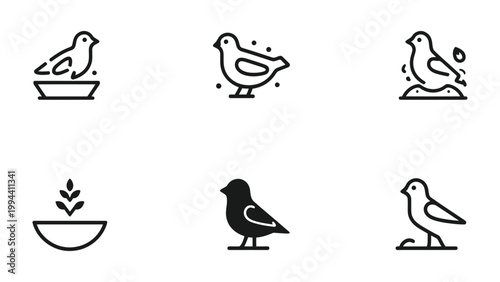 Feathered Grace: Minimalist avian illustrations offer a glimpse into the gentle world of birds, featuring a bird at different angles, creating a sense of simplicity and tranquility.