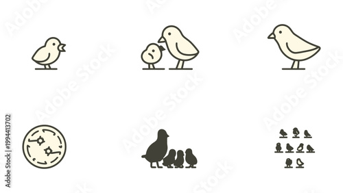 Chirp and Nest: Illustrated birds, each capturing a unique moment.