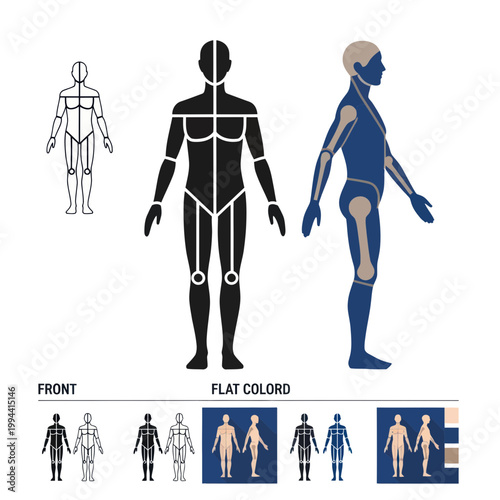 Human Anatomy Diagram: Front, Side, and Schematic Views