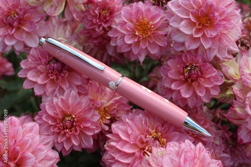 pink flowers