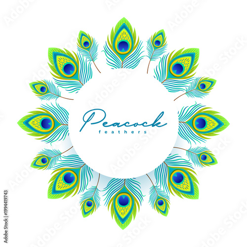 beautiful peacock plume feather frame background design