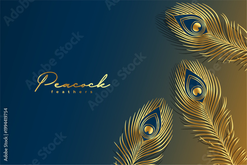 artistic golden peacock feather background design