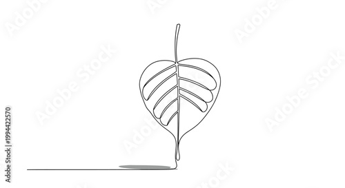 Monstera Deliciosa Leaf Illustration Art.