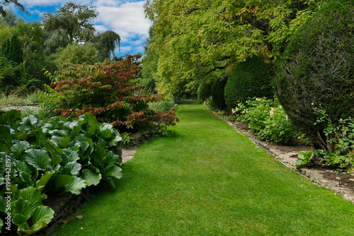 Canvas Print Lush green grass lawn path stretching between vibrant herbaceous borders with co