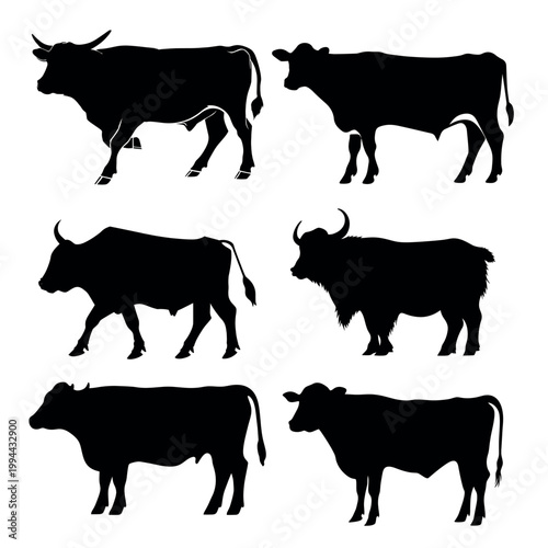 Silhouettes of various cattle breeds vector set