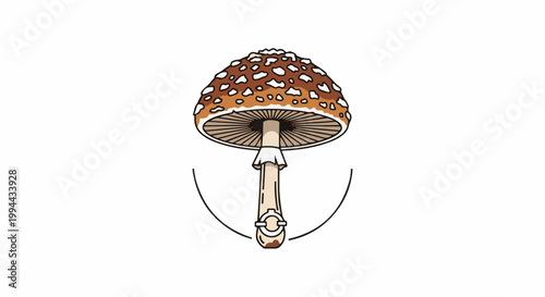 Illustrated mushroom with brown cap spotted with white, beige stem, white collar, and ring