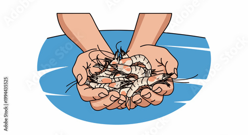 Hands cradle a bountiful catch of fresh shrimp