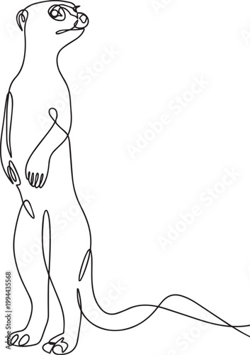 Standing meerkat sentry in minimalist continuous line art - Adobe Illustrator Artwork