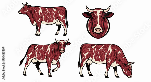 Four illustrations of a red and white speckled cow in different poses and a headshot
