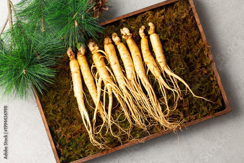 인삼은 두릅나뭇과의 여러해살이풀. 높이는 60cm 정도이다
Ginseng is a perennial plant belonging to the Araliaceae family. It grows to a height of about 60 cm.

