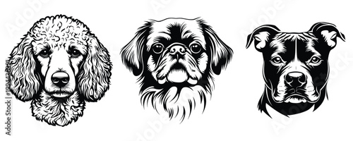 Illustrated dog breeds collection vector elements