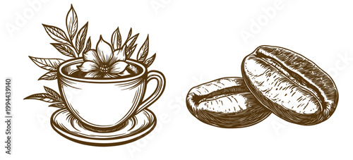 Vintage coffee and tea illustration vector set