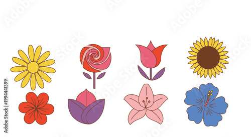 Colorful floral design elements set against a clean white background