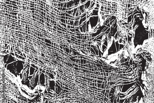 Torn Distressed Woven Fabric Grunge Silhouette Texture