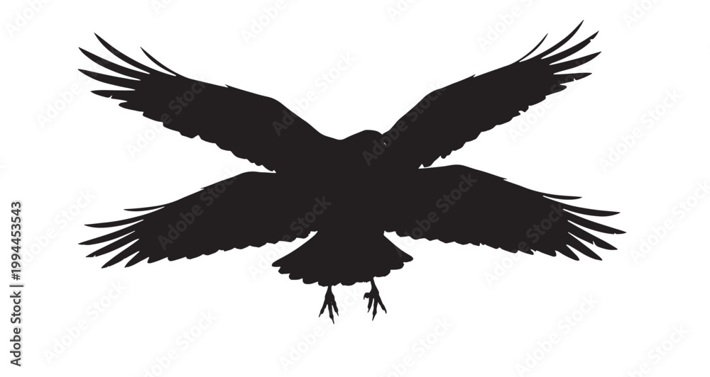 Fototapeta premium Four Wing Raven Silhouette vector graphic illustration featuring a bold black silhouette of two majestic ravens or crows flying with wings dramatically spread, creating an impactful visual design