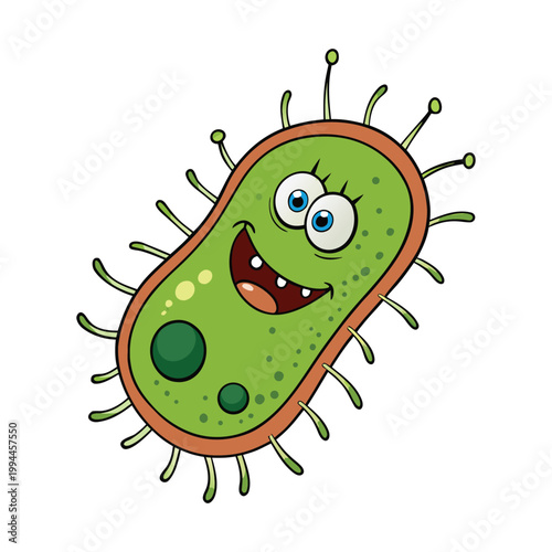Bacterial cell structure includes a cell wall, plasma membrane, cytoplasm, ribosomes, and DNA in the nucleoid region, all working together to support life and reproduction.
