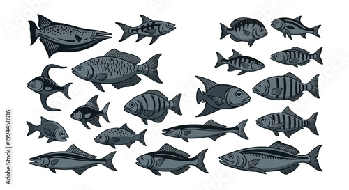School of Dark Striped Fish Swimming.