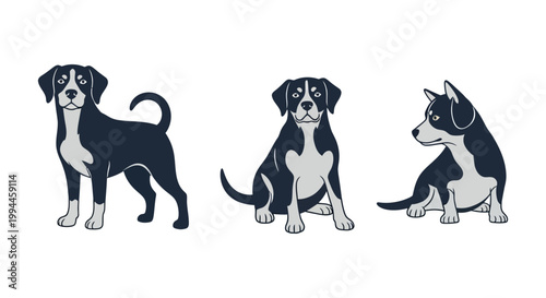 Three Black and White Dogs Standing.