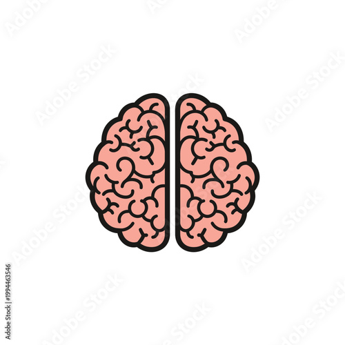 Pink human brain vector icon showing two hemispheres in flat style