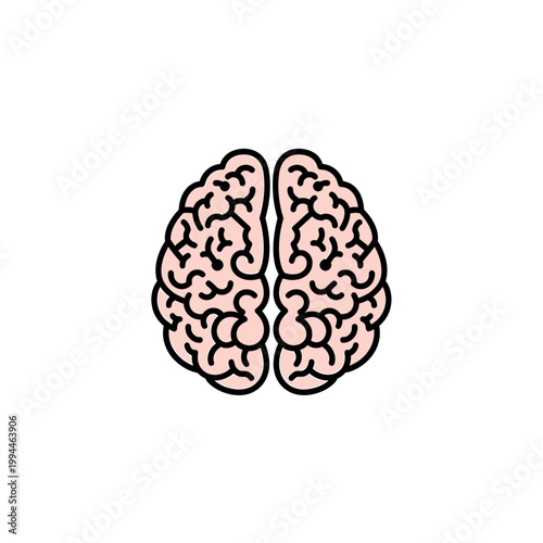 Vector illustration of a pink human brain icon on white background