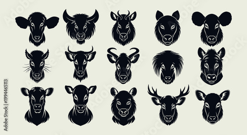 Collection of various bull heads.