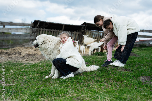 Three children petting a large white livestock guardian dog on a rural farm with goats in the background