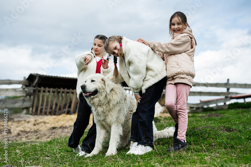 Three girls playing with a large white farm dog in a grassy rural field near a wooden fence on a cloudy day