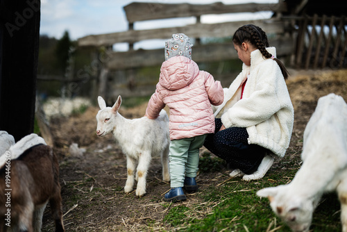 Two children gently petting white goats at a rural farm fence on a cool day in the countryside