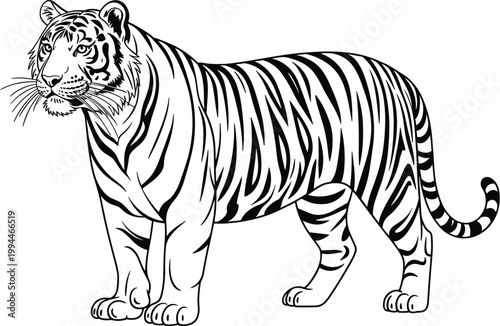 Majestic Bengal Tiger Illustration: Powerful Feline Stance, Wild Nature, African Safari Atmosphere, Zoologist Study, Wildlife Conservation Art, Roaring Spirit, Majestic Beast, Fierce Predator, Exotic