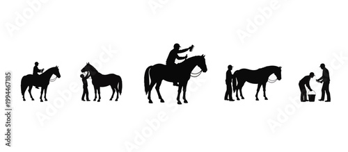 Horse grooming and riding silhouette set. Equestrian care and stable activity collection. Vector illustration isolated on transparent background
