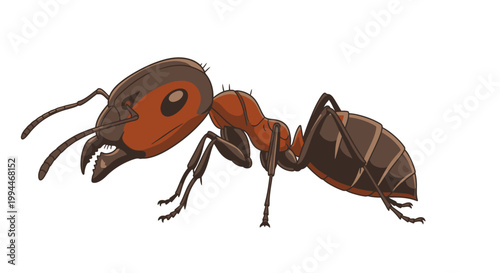 Cartoon illustration of an ant with a detailed body and big eyes