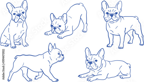 Hand drawn blue line set of five french bulldog poses, including sitting, standing, playing, and lying down dogs