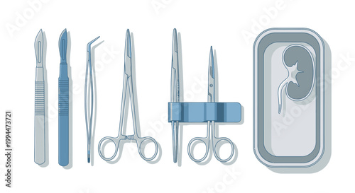 Medical instruments illustration scalpels scissors forceps and kidney