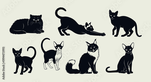Black cats in various poses.