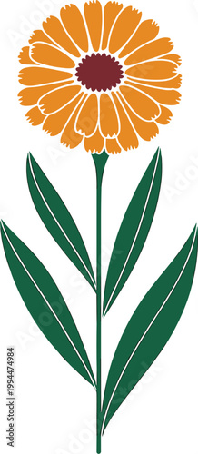 Vibrant Orange Marigold Flower with Deep Red Center and Lush Green Leaves, Minimalist Botanical Illustration for Spring Decor, Nature's Beauty Symbolising Warmth and Joy, Graphic Design Element for We