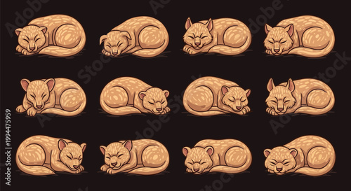 Pugs in various sleeping positions.