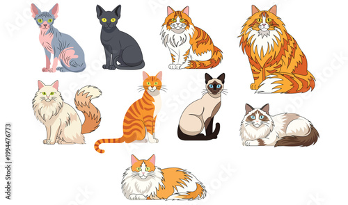 Collection of various cat breeds