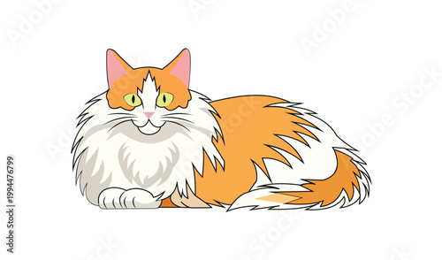 Cute fluffy orange and white cat lying down