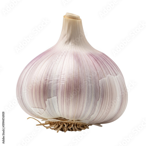 Whole garlic bulb with intact papery skin and visible cloves