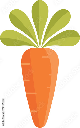 Fresh Orange Carrot with Green Leaves, Healthy Root Vegetable, Close-up Isolated on Light Background, Nutrition Vitamin A Food, Organic Farming Symbol, Delicious Cooking Ingredient, Vegetarian Diet St