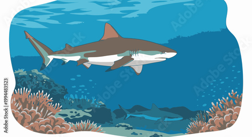 Brown shark swimming in ocean water.