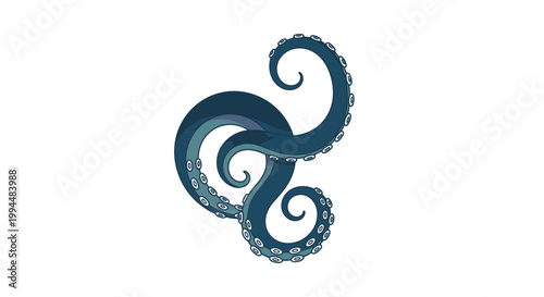 Tentacle of an octopus curled up.