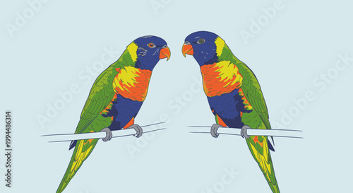 Colorful parrots on a perch together.