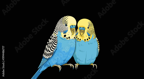 Two colorful parakeets sitting together.