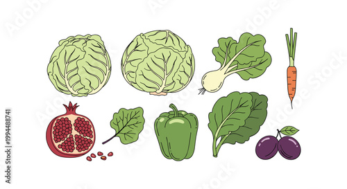 Array of fresh organic vegetables and fruits such as cabbage, kale, carrots, peppers, pomegranate, and plums on a clean white background.