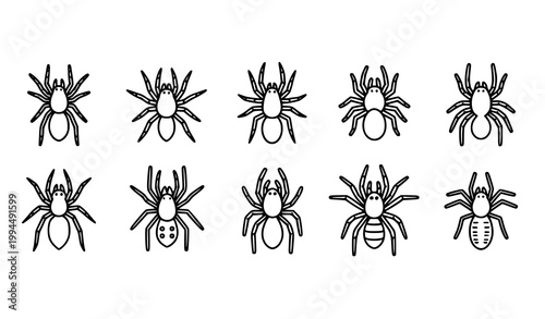 Minimal tarantula icons simple spider line art black and white vector illustration isolated on white