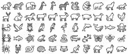 Collection of various animal line icons.