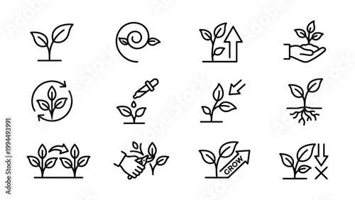 Icons illustrating plant growth and cultivation stages with growth icon seedling icon leaf icon sprout icon agriculture icon gardening icon nature icon organic icon sustainability icon