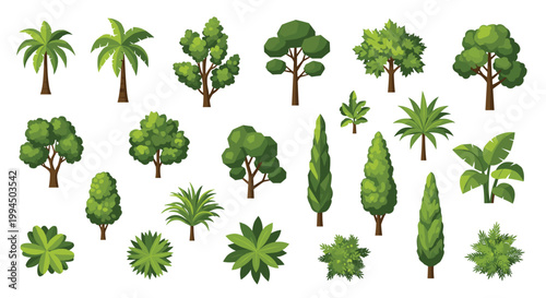 A diverse collection of vibrant green tree species including tropical palms and tall pointed pines is meticulously arranged across a clean white horizontal space.